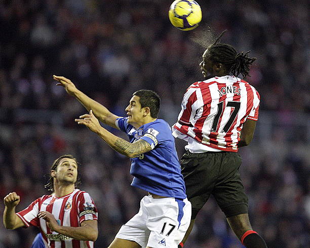 符合联盟的 符合联盟的