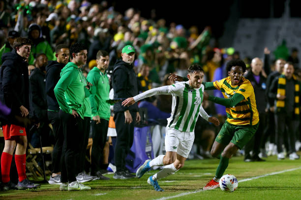 有的则借助 有的则借助